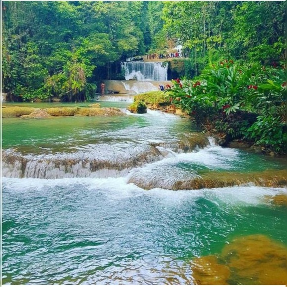 Meet your Posher, Ricardo - Picture 1 of 1